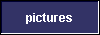  pictures 